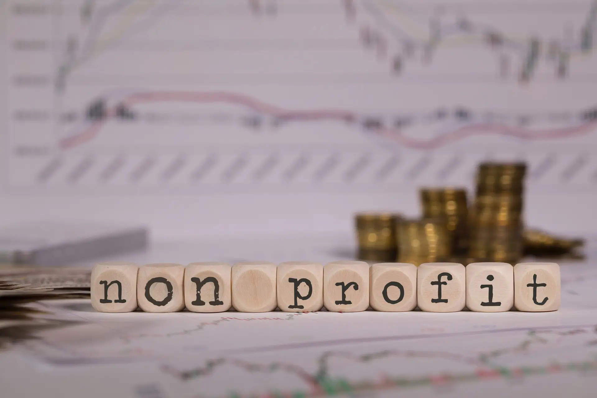 Non-Profit Corporation